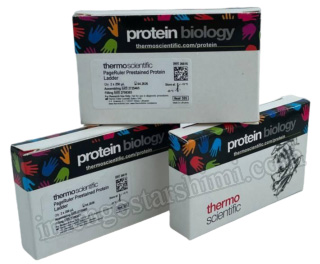 PageRuler™ Prestained Protein Ladder, 10 to 180 kDa