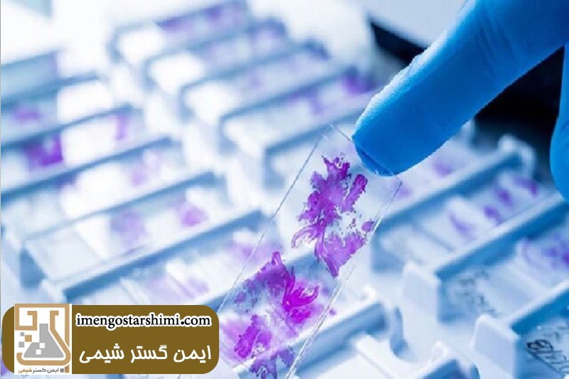 ویژگی های یک لام خوب